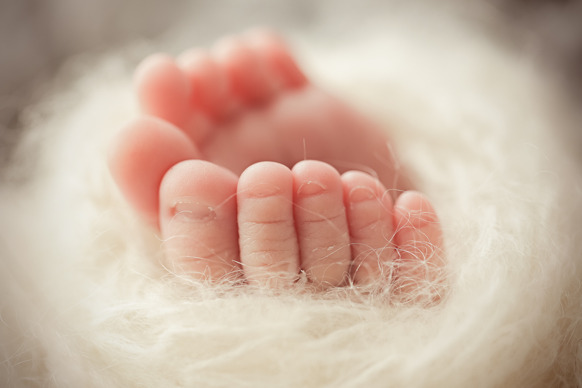 Newborn & Babies Gallery