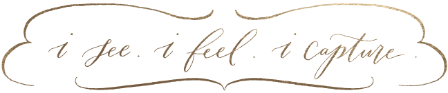 i see. i feel. i capture