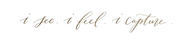 i see. i feel. i capture